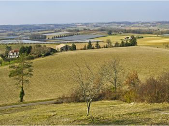 Excursión Senderismo Tourtrès - Tourtrès, du pech du moulin à vent au bois de Verteuil - Pays de la vallée du Lot - Photo