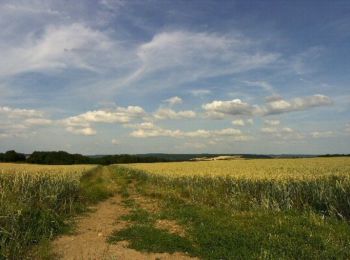 Tocht Stappen Ponchon - Randonnée Ponchon - Villers St Sépulcre - Photo