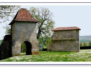 Randonnée Marche Vaucouleurs - Au départ de Vaucouleurs - Gombervaux - Photo