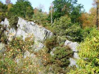 Randonnée Marche Saint-Georges-de-Rouelley - Le Moulin Foulon - Saint Georges de Rouelley - Photo