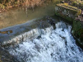 Randonnée Marche Cuise-la-Motte - Cuise-la-Motte    - Photo