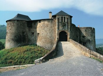 Tour Wandern L'Hôpital-Saint-Blaise - Chemin du Piémont Pyrénéen - De l'Hôpital St Blaise à Mauléon Licharre - Photo