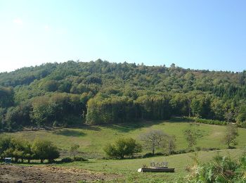 Trail Walking La Croisille-sur-Briance - Circuit le tour du mont Gargan - La Croisille sur Briance - Photo