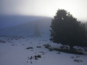 Randonnée Raquettes à neige Sarrancolin - Cap Nestès - Station de Nistos - Photo