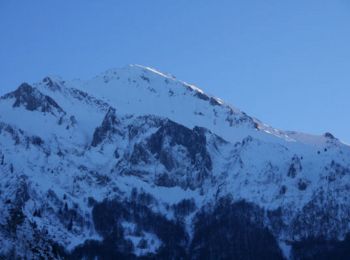 Randonnée Raquettes à neige Arrens-Marsous - Arrens - Les Agaus  en raquettes - Photo