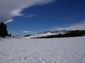 Excursión Raquetas de nieve Font-Romeu-Odeillo-Via - Les Airelles - Mollera dels Clots  - Photo