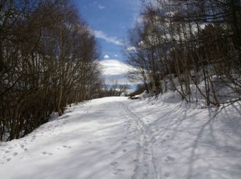 Tocht Sneeuwschoenen Angoustrine-Villeneuve-des-Escaldes - Sant Marti d'Envalls - Photo