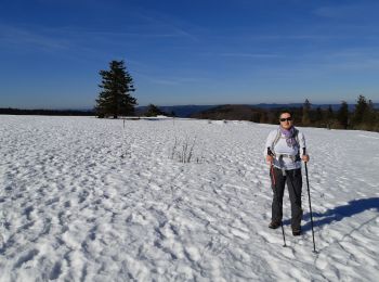 Tocht Te voet Le Hohwald - cdf - Photo