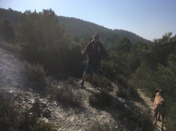 Trail Nordic walking Arguedas - 2019-02-25 RANDONNÉE ARGUEDAS ESPAGNE  - Photo