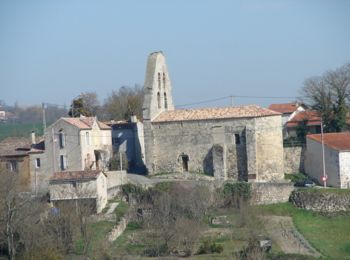 Tour Wandern Lavardac - La Randonnée des bastides et châteaux en Albret - Pays d'Albret - Photo