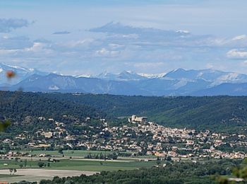 Tocht Fiets Gréoux-les-Bains -  Le vélo, St Pierre et vous - Gréoux les Bains - Photo