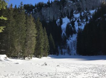 Tour Schneeschuhwandern Bellevaux - Lac de Pététoz - Photo