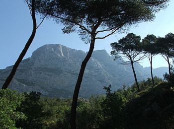 Tocht Fiets Gréoux-les-Bains - Le tour de la Sainte Victoire - Photo