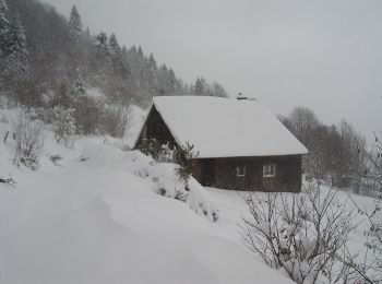 Trail Walking Bussang - Circuit de raquette de Bussang - Photo