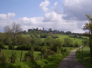 Tocht Stappen Belforêt-en-Perche - La Perrière : village millénaire - Photo