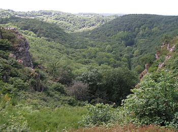 Randonnée Marche Athis-Val-de-Rouvre - Rando botanique  - Ségrie Fontaine  - Photo