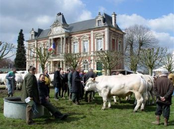 Percorso Cavallo Grand-Bourgtheroulde - Circuit des Potiers - Bourgtheroulde-Infreville - Photo