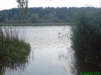 Randonnée V.T.T. Munster - Autour de l'étang de Mittersheim - Circuit n° 21 - Photo