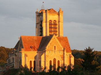 Tour Wandern Appoigny - La belle étoile - Appoigny - Photo