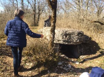 Tocht Stappen Sauliac-sur-Célé - sauliac monteils  - Photo