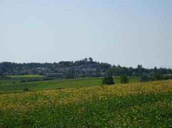 Tour Wandern Cancon - Cancon vers Moulinet, à la découverte du terroir - Pays de la vallée du Lot - Photo