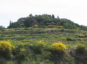 Percorso Bicicletta Malaucène - Circuit Vélo - Entre Ventoux et Dentelles - Malaucène  - Photo