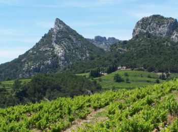 Trail Cycle Malaucène - Circuit Vélo - Entre Ventoux et Dentelles Variante - Malaucène  - Photo