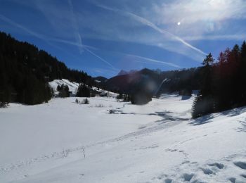 Trail Snowshoes Châtel - Col de Morgins - Photo