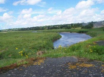 Tour Wandern Cérences - Le Moulin de Guelle - Cérences  - Photo