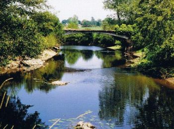 Tour Wandern Cérences - Les Vallons de Cérences  - Photo