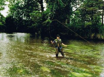 Randonnée Marche Cérences - Entre Batterel et Sienne - Cérences  - Photo