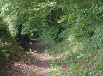 Trail Walking Saint-Sauveur-la-Pommeraye - Notre Dame - Saint Sauveur la Pommeraye - Photo