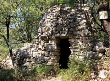 Trail Walking Saussines - Les capitelles de la Bénovie à Saussines  - Photo