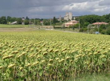 Tocht Mountainbike La Romieu - Le chemin Hospitalier - La Romieu - Photo