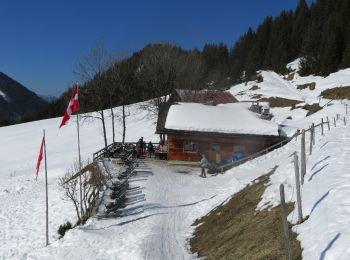 Tour Schneeschuhwandern Châtel - Petite  Châtel - Photo