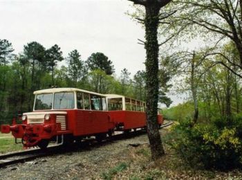 Tocht Stappen Nérac - De Nérac à Mézin, avec le train touristique - Pays d'Albret  - Photo