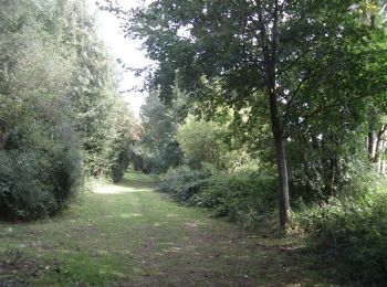 Tour Wandern Bajus - Les prêles de Bajus - Photo