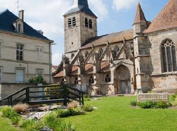 Randonnée Vélo Revigny-sur-Ornain - Les villages martyrs - Revigny-sur-Ornain - Photo