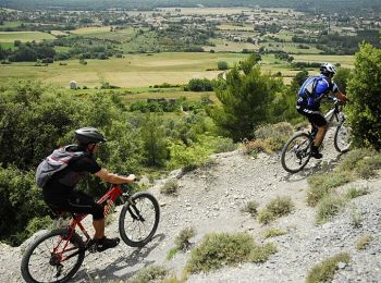 Trail Mountain bike L'Escale - Base VTT FFCT Val de Durance - Les Bastides Blanches - Circuit n°1 - L'Escale - Photo