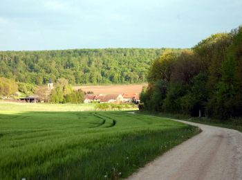 Randonnée Vélo Saint-Mihiel - La vallée de  la Meuse - St-Mihiel - Photo