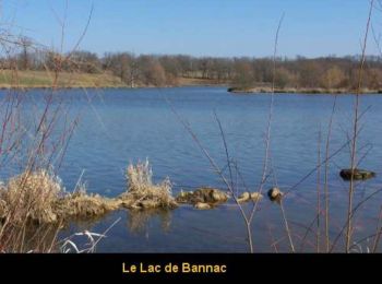 Tour Wandern Martiel - Circuit du Lac de Bannac - Martiel - Photo