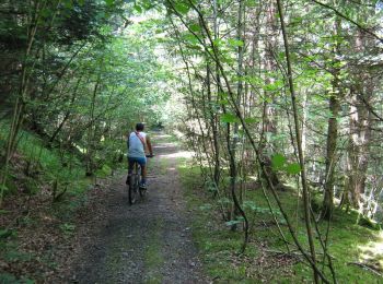 Trail Walking Saint-Étienne-aux-Clos - Lémovices ou Arvernes - Saint Etienne aux Clos 12,5 km- Pays de Haute Corrèze - Photo