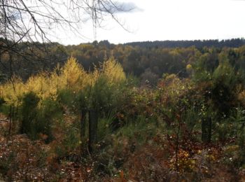 Randonnée Marche Saint-Étienne-aux-Clos - Lémovices ou Arvernes - Saint Etienne aux Clos 12,7 km- Pays de Haute Corrèze - Photo