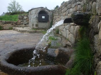 Tour Wandern Alleyrat - Mystérieuses Fontaines 12 km - Alleyrat - Pays de Haute Corrèze  - Photo