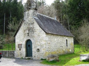 Tour Wandern Combressol - Le chemin des Abbesses 12,6km - Combressol - Pays de Haute Corrèze  - Photo