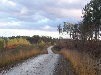 Tocht Paard Rioux-Martin - Circuit des étangs - Rioux-Martin - Photo