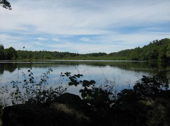 Tour Mountainbike Rosiers-d'Égletons - Par les Puys - Rosiers d'Egletons - Pays d'Egletons  - Photo