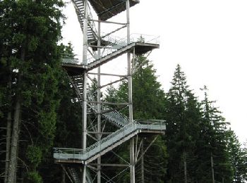 Randonnée V.T.T. Meymac - Le toit du Limousin 16 km - Meymac - Pays de Haute Corrèze  - Photo