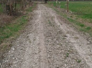 Trail Walking Barberey-Saint-Sulpice - Barberey 20,5km le 15-03-2019 - Photo