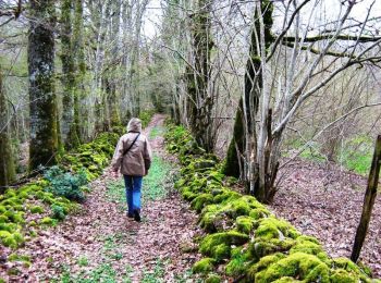 Trail Walking Mestes - La Bujada - Mestes - Pays de Haute Corrèze - Photo